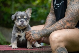 LUFFY  LILAC & TAN FLUFFY