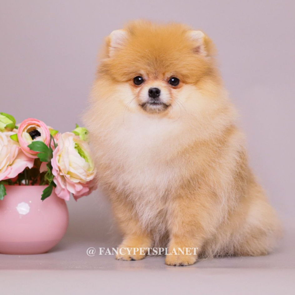 Valentina